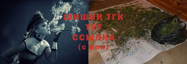 стаф Богородск