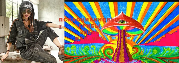 МДПВ Богданович