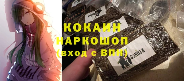 молекула духа Арсеньев