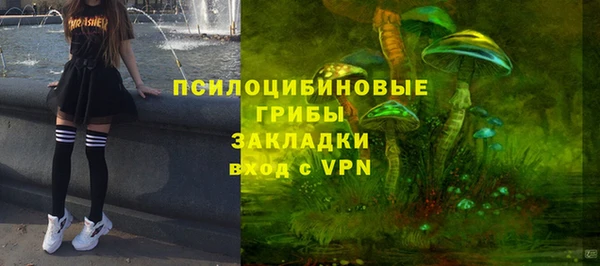 стаф Богородск